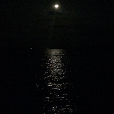 moon over Pigeon Lake, Perseid Meteors